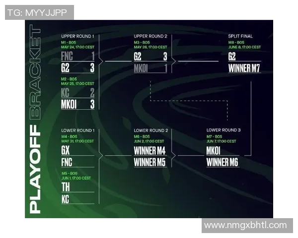 S15LOL比赛中V5团队协作的变革与新策略探讨